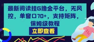 最新阅读挂G撸金平台,无风控,单窗口70+,支持矩阵,保姆级教程【揭秘】|淘骐网赚资源库