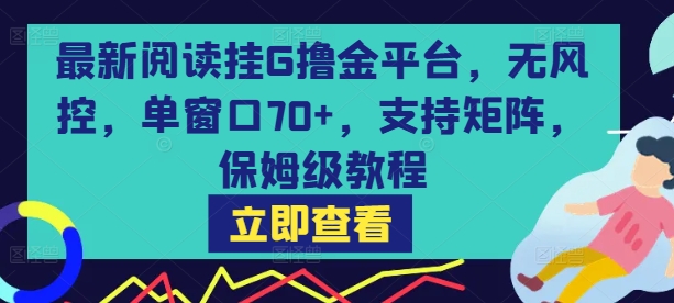 最新阅读挂G撸金平台，无风控，单窗口70+，支持矩阵，保姆级教程【揭秘】|淘骐网赚资源库