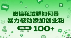 微信私域群如何暴力被动添加创业粉，简单粗暴，日引100+|淘骐网赚资源库