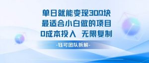 单日就能变现3张最适合小白做的项目0成本投入 无限复制|淘骐网赚资源库