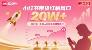 一年时间靠小红书带货项目年入20w+,最不能错的大红利项目|淘骐网赚资源库