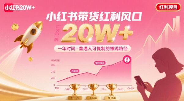 一年时间靠小红书带货项目年入20w+,最不能错的大红利项目|淘骐网赚资源库