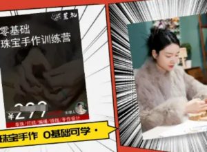 小集电商水晶直播带货课-抖音电商教程|淘骐网赚资源库