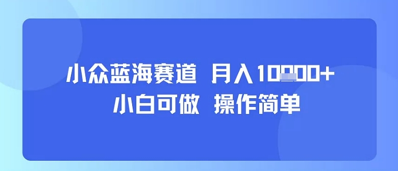 小众蓝海赛道，小白可做，操作简单，每天30分钟，月入1W+|淘骐网赚资源库