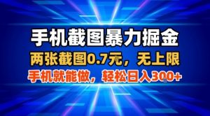 手机截图暴力掘金,两张截图0.7米,一部手机就能做,轻松日入3张+【揭秘】|淘骐网赚资源库