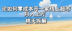 论如何零成本开一家线上超市,月入上W|淘骐网赚资源库