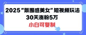 不露脸也能火！2025“氛围感美女”短视频玩法，30天涨粉5W小白可复制|淘骐网赚资源库