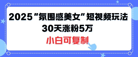 不露脸也能火！2025“氛围感美女”短视频玩法，30天涨粉5W小白可复制|淘骐网赚资源库