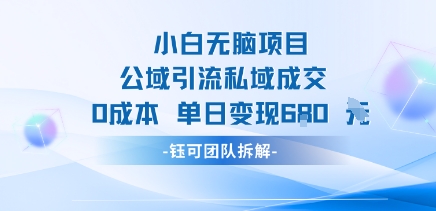 小白无脑项目公域引流私域成交0成本单日变现680米|淘骐网赚资源库