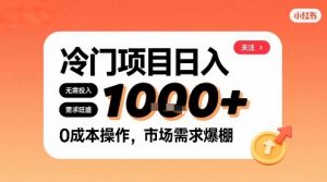在小红书上发现个冷门路子，需求不小，零成本操作，每天能有1k进账|淘骐网赚资源库