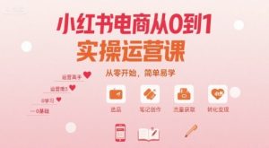 小红书电商从0到1实操运营课,从零开始,简单易学|淘骐网赚资源库