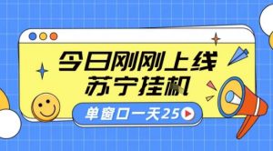 苏宁全自动采集挂G项目 稳定可批量 单窗口收益30+ 附教程【揭秘】|淘骐网赚资源库
