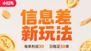 小红书信息差新玩法每单利润30，每天稳定50单左右，两个账号即可|淘骐网赚资源库