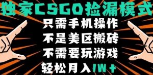 CSGO自动捡漏项目,最新独家玩法,不是美区搬砖,不需要了解和玩游戏,新手小白轻松月入1W+【揭秘】|淘骐网赚资源库