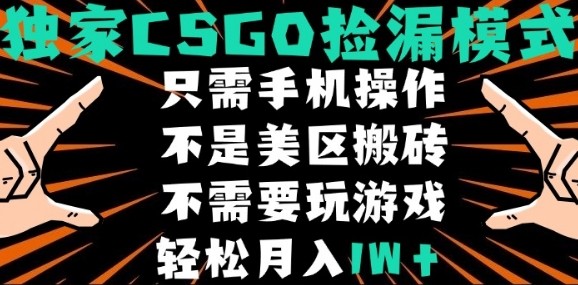 CSGO自动捡漏项目,最新独家玩法,不是美区搬砖,不需要了解和玩游戏,新手小白轻松月入1W+【揭秘】|淘骐网赚资源库