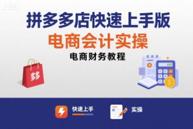 拼多多店快速上手版电商会计实操-电商财务教程|淘骐网赚资源库