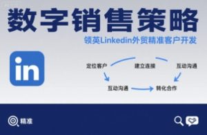 数字销售策略领英LinkedIn外贸精准客户开发|淘骐网赚资源库