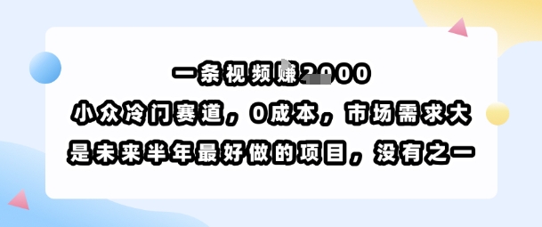 一条视频挣1k,小众冷门赛道,0成本,市场需求大,是未来半年最好做的项目,没有之一|淘骐网赚资源库