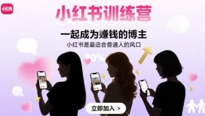 小红书训练营一起成为賺钱的博主,小红书是最适合普通人的风口|淘骐网赚资源库