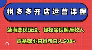 拼多多开店运营课程:蓝海变现玩法,轻松实现睡后收入,零基础小白也可日入5张|淘骐网赚资源库