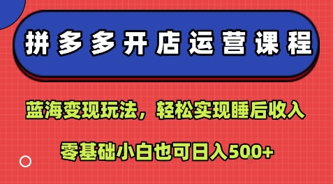 拼多多开店运营课程:蓝海变现玩法,轻松实现睡后收入,零基础小白也可日入5张|淘骐网赚资源库