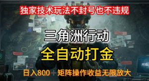 三角洲最新全自动G机,独家技术玩法,不封号也不违规, 日入8张+可矩阵操作,收益无限放大【揭秘】|淘骐网赚资源库