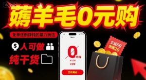 薅羊毛0元购,免单还倒挣钱的暴力玩法,人人可做,纯干货|淘骐网赚资源库