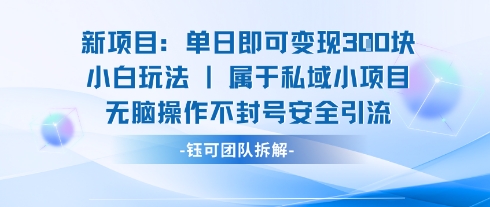 新项目单日即可变现3张的小白玩法无脑操作不封号安全引流|淘骐网赚资源库