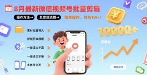 8月最新微信视频号批量剪辑操作方法及变现流程,简单操作,月入1w+|淘骐网赚资源库