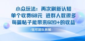 小众玩法再次刷新认知单个收费68米进群人数很多每篇帖子能带来6张的收益|淘骐网赚资源库