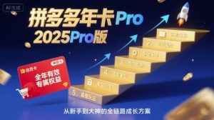 拼多多年卡2025Pro版,五大板块从认知到基础、从推广到活动、从活动到玩法|淘骐网赚资源库