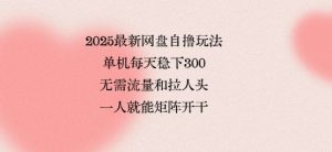 2025最新网盘自撸玩法,单机每天稳下3张,无需流量和拉人头,一个人就可轻松矩阵,全网独一份【揭秘】|淘骐网赚资源库