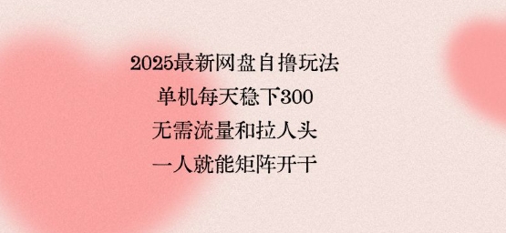 2025最新网盘自撸玩法，单机每天稳下3张，无需流量和拉人头，一个人就可轻松矩阵，全网独一份【揭秘】|淘骐网赚资源库