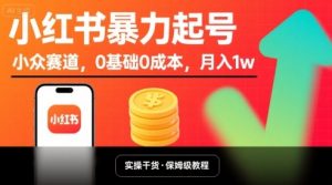 小红书暴力起号，小众赛道，0基础0成本，月入1w|淘骐网赚资源库