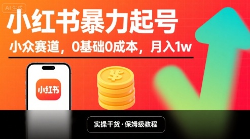 小红书暴力起号,小众赛道,0基础0成本,月入1w|淘骐网赚资源库