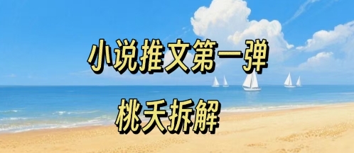 小说推文项目操作全流程第一弹，0粉就能做，门槛低非常适合新手|淘骐网赚资源库