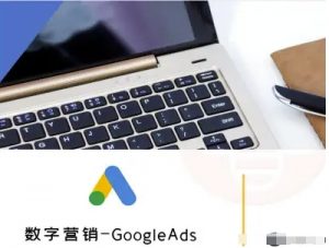 数字营销-GoogleAds-外贸跨境电商教程|淘骐网赚资源库