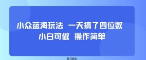 小众蓝海玩法 一天搞了四位数 小白可做 操作简单|淘骐网赚资源库