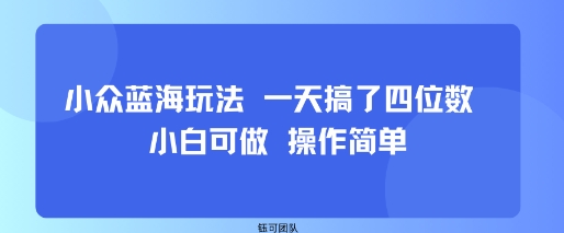 小众蓝海玩法 一天搞了四位数 小白可做 操作简单|淘骐网赚资源库