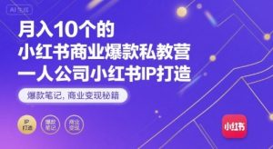 月入10个的小红书商业爆款私教营,一人公司小红书IP打造,爆款笔记,商业变现秘籍|淘骐网赚资源库