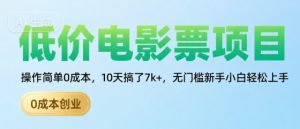 低价电影票项目,操作简单0成本,10天搞了7k+,无门槛新手小白轻松上手【揭秘】|淘骐网赚资源库