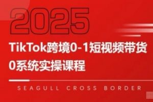 TikTok跨境0-1短视频带货,系统拆解TikTok跨境带货全链路,实现跨境可持续盈利|第一资源库