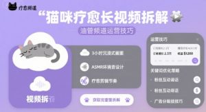 猫咪疗愈长视频拆解 &油管频道运营技巧|淘骐网赚资源库