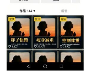 超高变现的短视频减肥细分赛道,减肥账号抖音实战训练营|淘骐网赚资源库