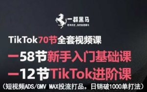 TikTok全套视频课,新手入门+进阶课,短视频ADS-GMV MAX投流打品,日销破1000单打法|淘骐网赚资源库