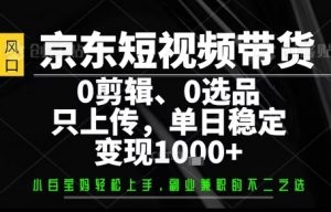 你出账号,我来运营,保底日入1k+,开启躺賺模式【揭秘】|淘骐网赚资源库
