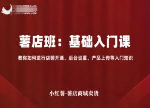 小红薯薯店商城卖货，基础入门课，教你如何进行店铺开通、后台设置、产品上传等入门知识|淘骐网赚资源库