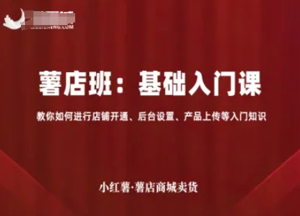 小红薯薯店商城卖货,基础入门课,教你如何进行店铺开通、后台设置、产品上传等入门知识|淘骐网赚资源库
