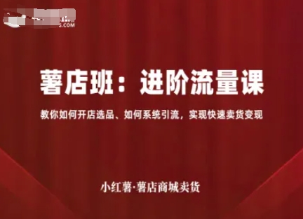 小红薯薯店商城卖货,进阶流量课,教你如何开店选品、如何系统引流,实现快速卖货变现|淘骐网赚资源库