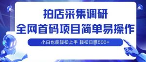 拍店采集调研,全网首码项目,简单易操作, 小白也能轻松上手,多账号操作,轻松日入5张【揭秘】|淘骐网赚资源库
